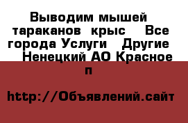 Выводим мышей ,тараканов, крыс. - Все города Услуги » Другие   . Ненецкий АО,Красное п.